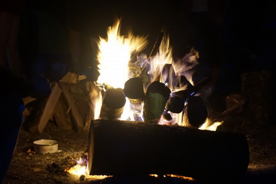 b2ap3_thumbnail__DSC2567.JPG